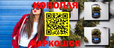 шишки Обь