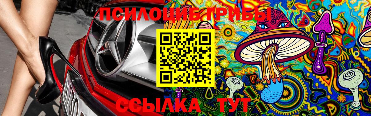Галлюциногенные грибы GOLDEN TEACHER  Псилоцибиновые грибы Psilocybine cubensis  Белогорск  Вход с VPN 